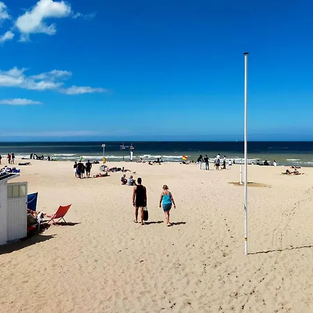 Daire 2 Bedroom Cozy In *